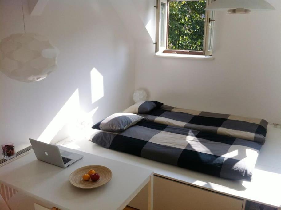 The Cute, Sunny Apartment In The Center +P Любляна Экстерьер фото