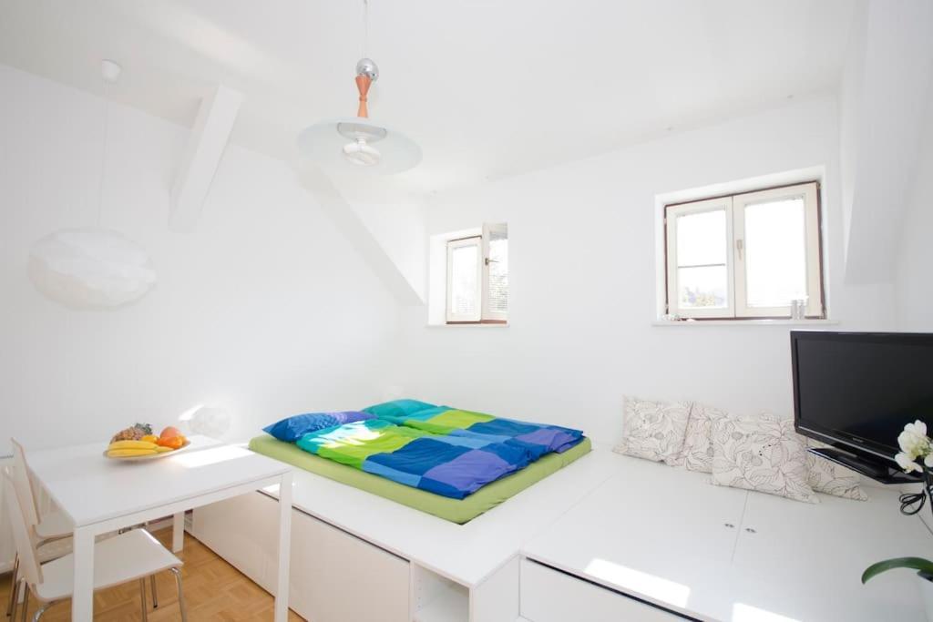 The Cute, Sunny Apartment In The Center +P Любляна Экстерьер фото