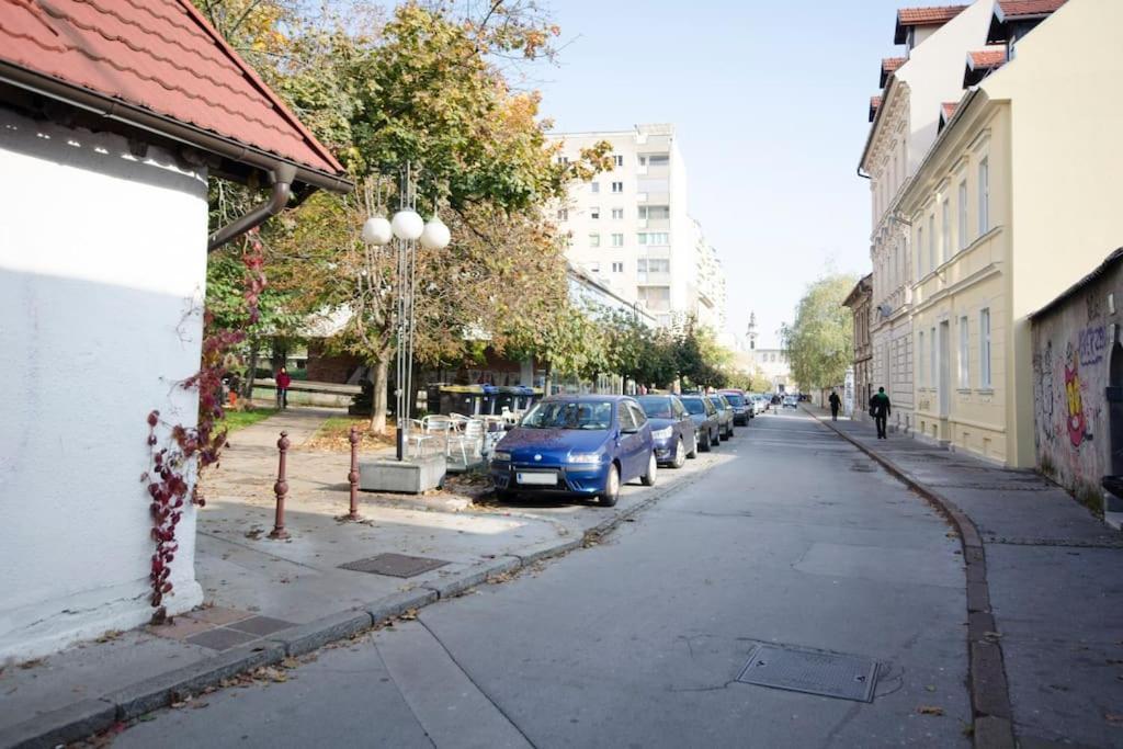 The Cute, Sunny Apartment In The Center +P Любляна Экстерьер фото