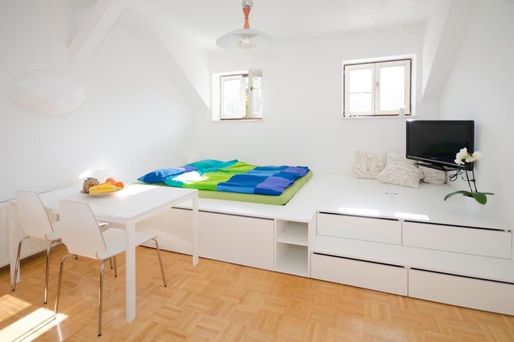 The Cute, Sunny Apartment In The Center +P Любляна Экстерьер фото