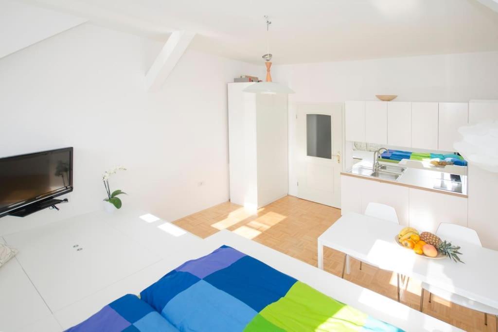 The Cute, Sunny Apartment In The Center +P Любляна Экстерьер фото