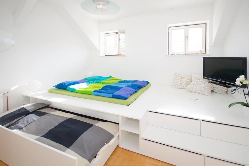 The Cute, Sunny Apartment In The Center +P Любляна Экстерьер фото